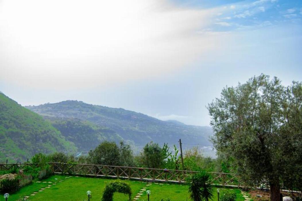 Villa Aurora Oasi Verde Sorrente Extérieur photo