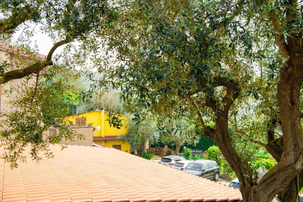 Villa Aurora Oasi Verde Sorrente Extérieur photo